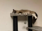 Florence - Versatile Multi-Shape Cat Tower