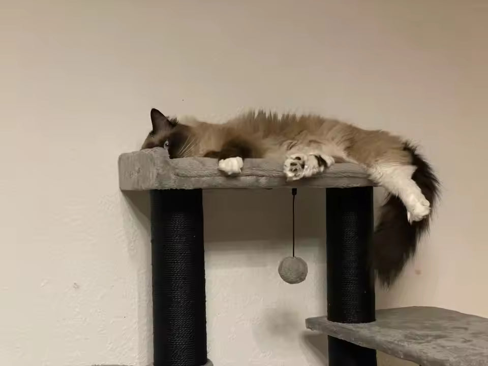 Florence - Versatile Multi-Shape Cat Tower