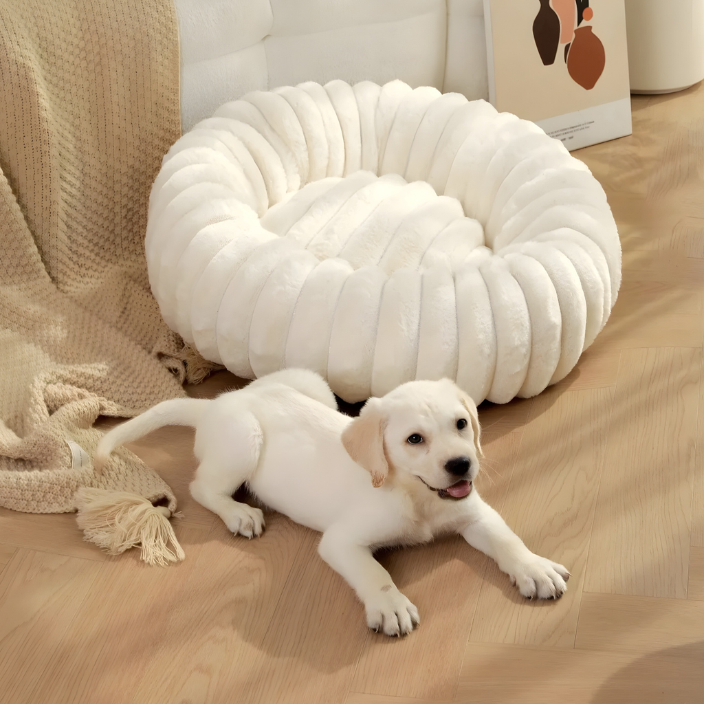 Capri - Orthopedic Round Pet Bed