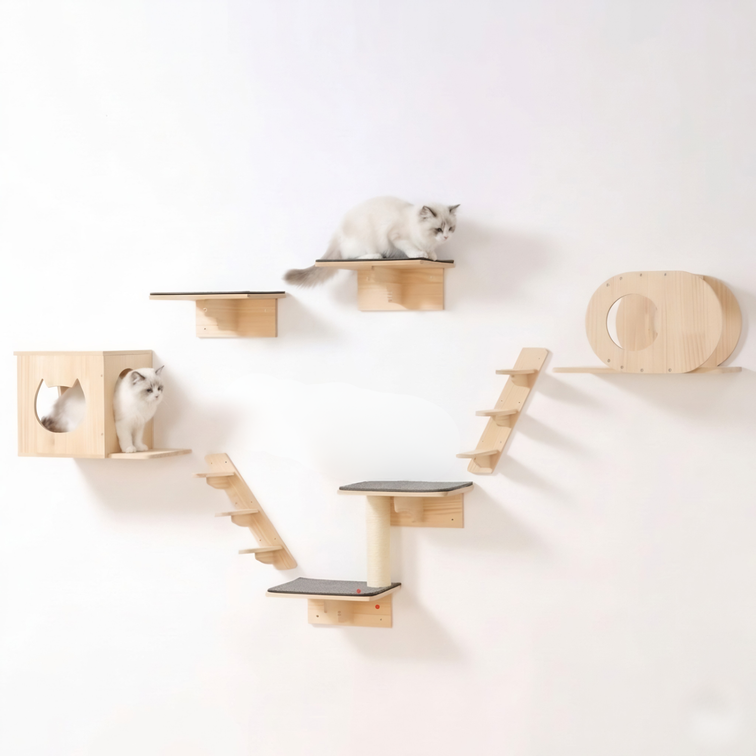 Como - Wall-Mounted Cat Shelves Playground