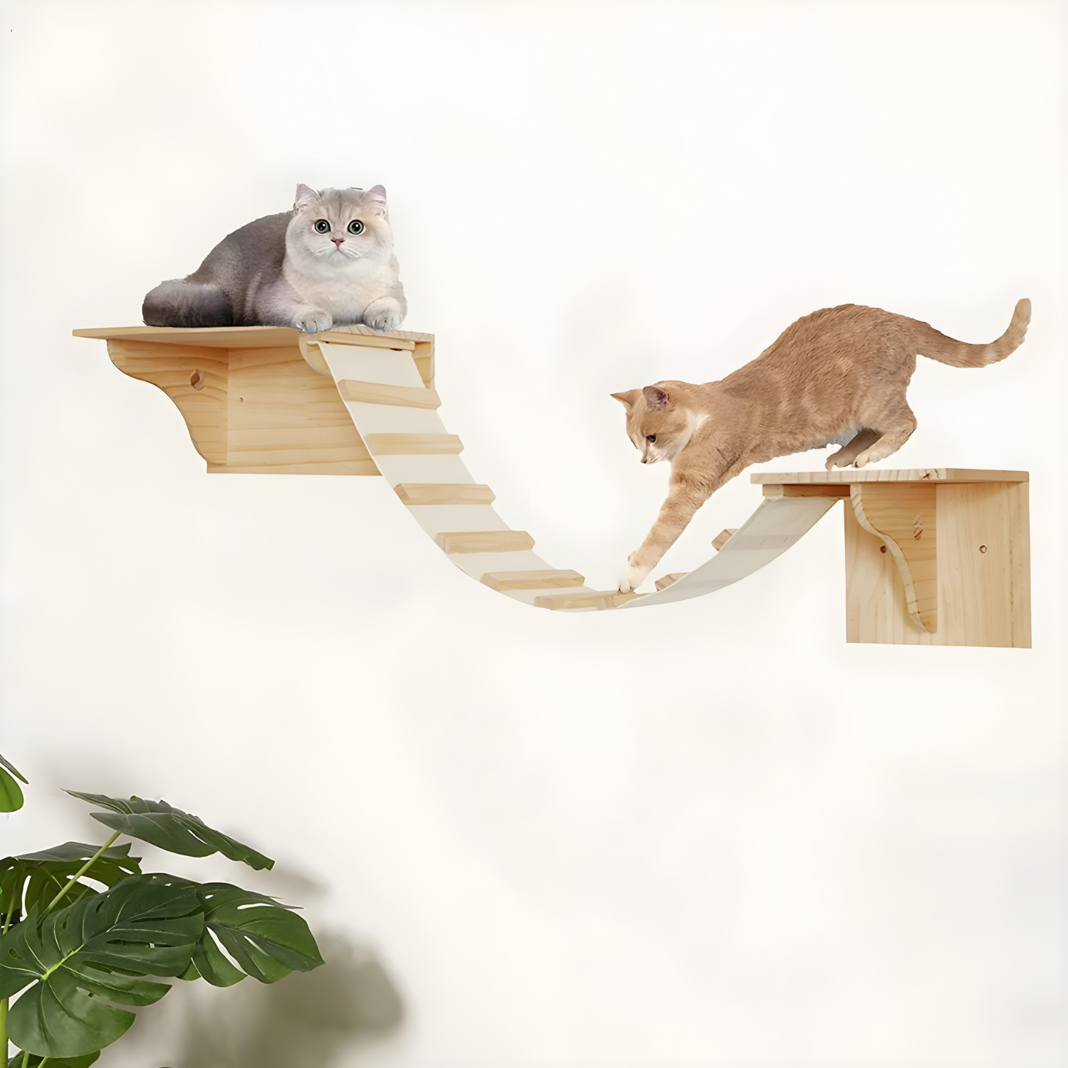 Ischia - Wall-Mounted Cat Perch and Activity Suite