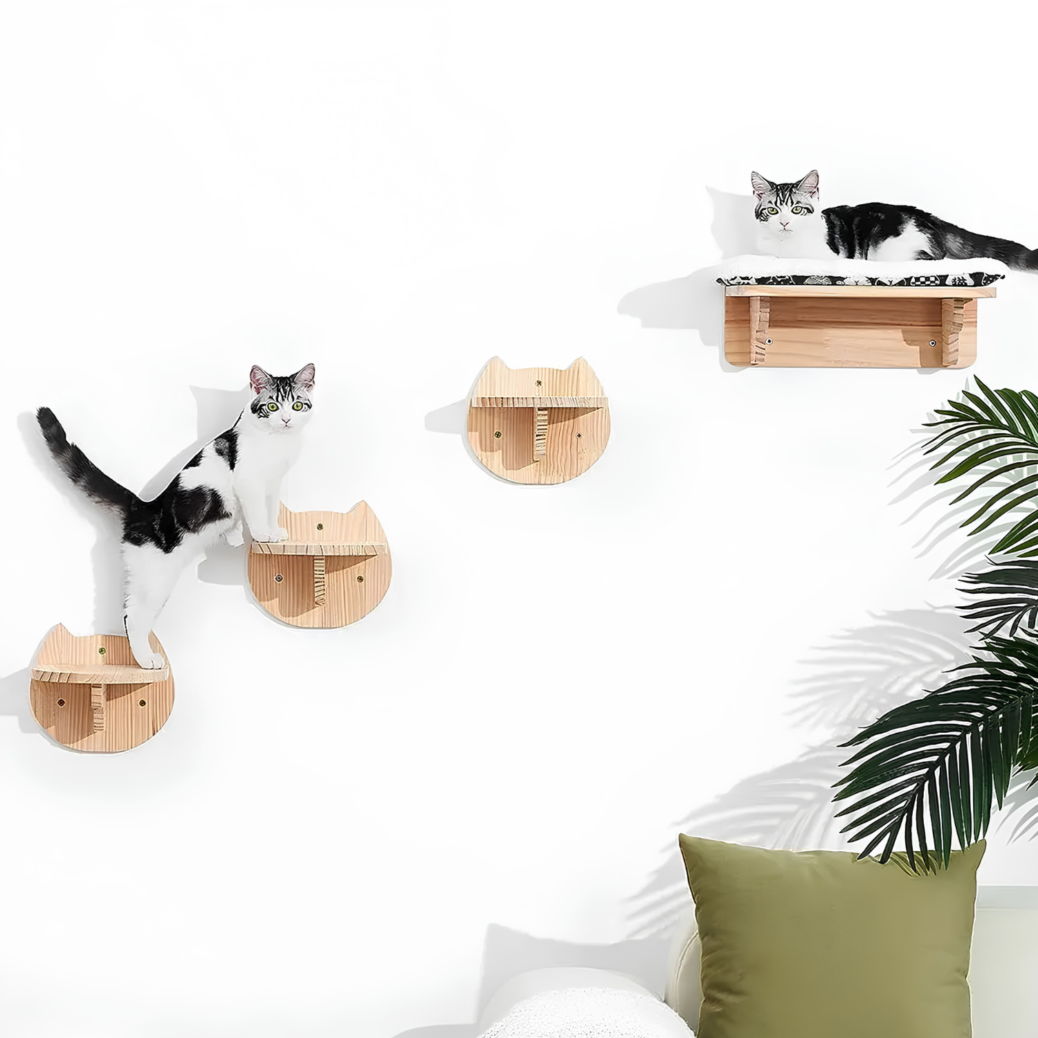 Ischia - Wall-Mounted Cat Perch and Activity Suite