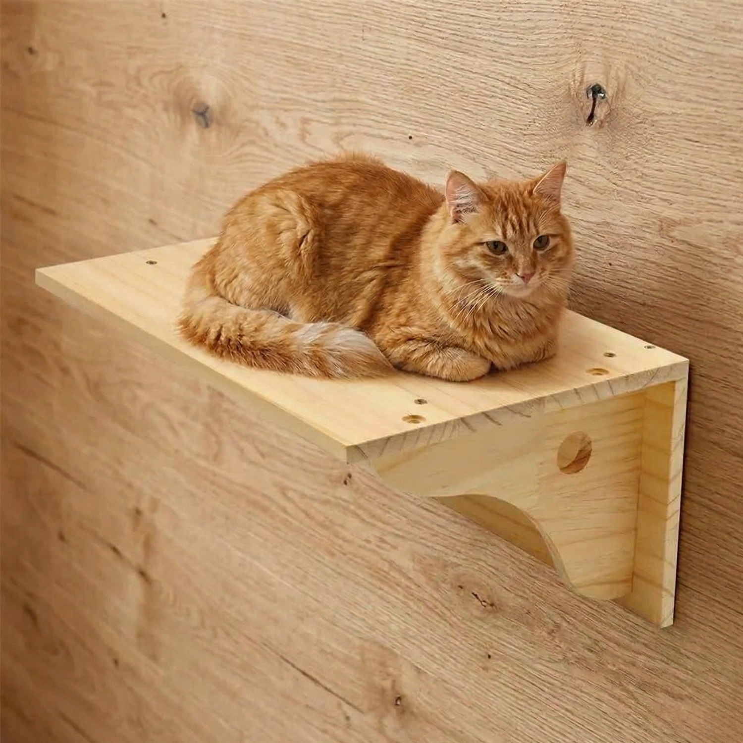 Ischia - Wall-Mounted Cat Perch and Activity Suite