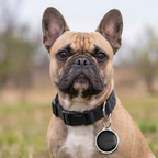 Matera - 1.25" Zero Monthly Fees Dog GPS Tracker With Apple Find My Support