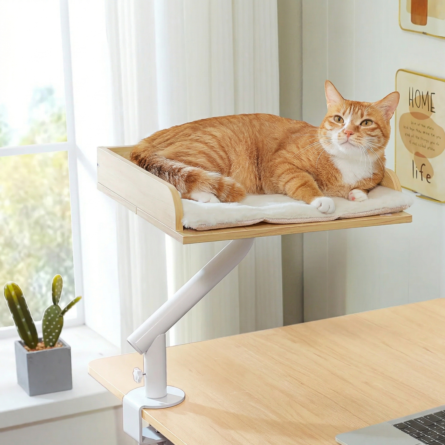 Stromboli - 15x15" Modern Wood Rotating Workspace Cat Perch