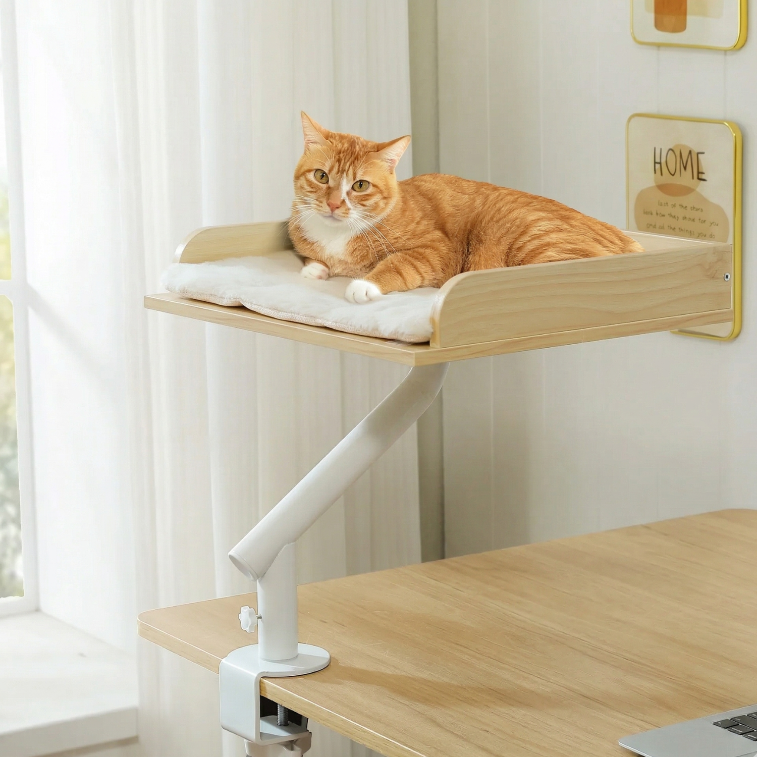 Stromboli - 15x15" Modern Wood Rotating Workspace Cat Perch
