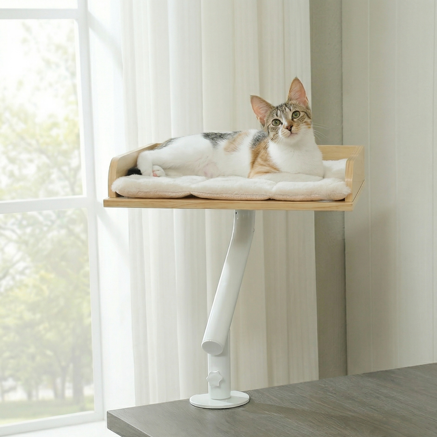 Stromboli - 15x15" Modern Wood Rotating Workspace Cat Perch