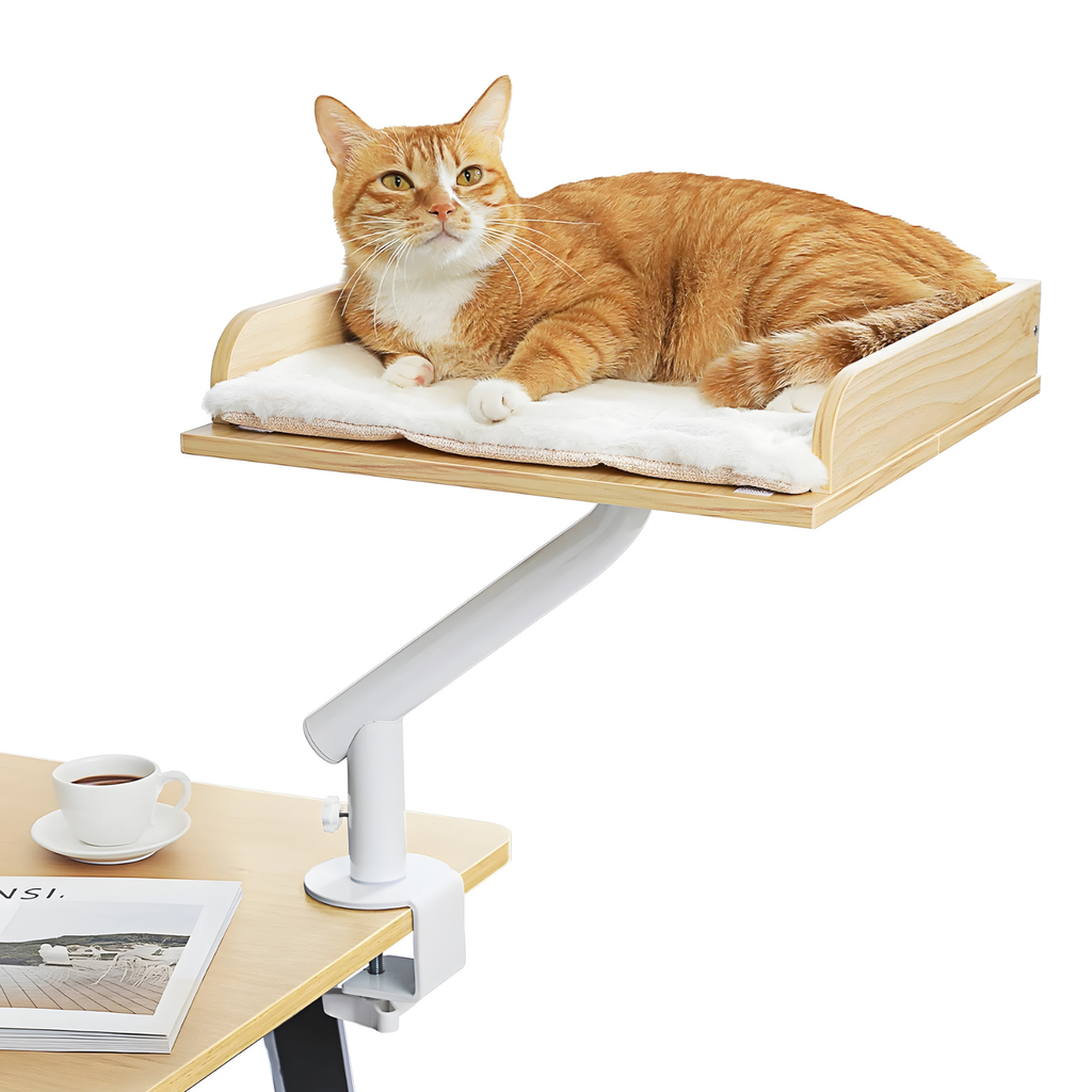 Stromboli - 15x15" Modern Wood Rotating Workspace Cat Perch