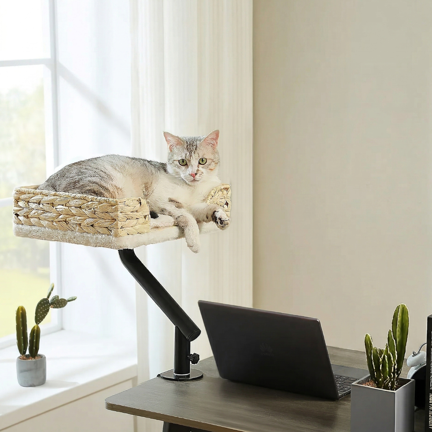 Procida - 12x16" Woven Rattan Style Rotating Workspace Cat Perch