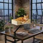 Procida - 12x16" Woven Rattan Style Rotating Workspace Cat Perch