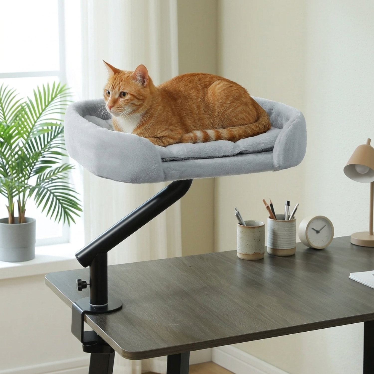 Naples - 12x16" Rotating Workspace Cat Perch