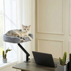 Naples - 12x16" Rotating Workspace Cat Perch