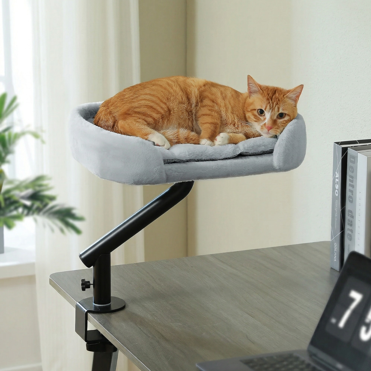 Naples - 12x16" Rotating Workspace Cat Perch