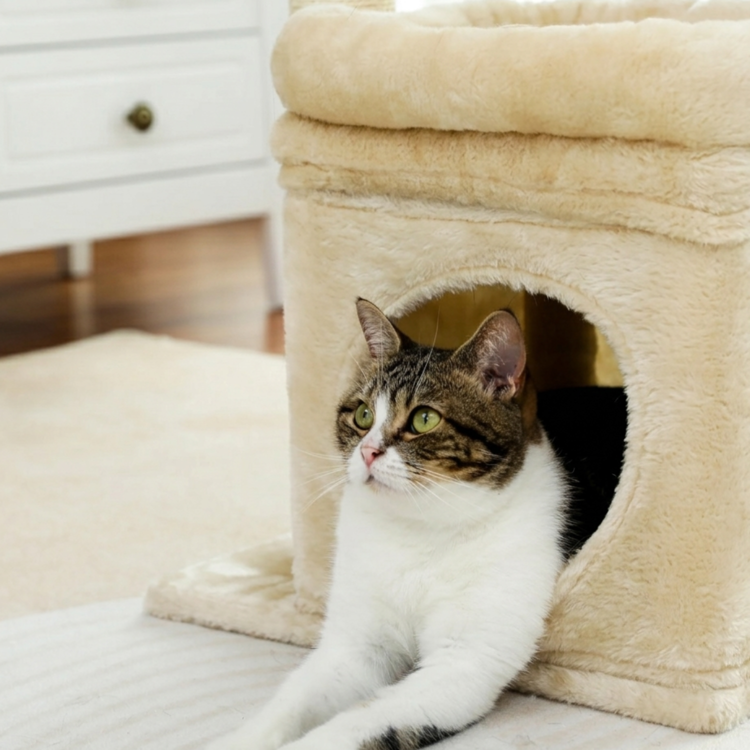 Sicily - 17" Cat Tree with Wide Perch & Cozy Hideaway